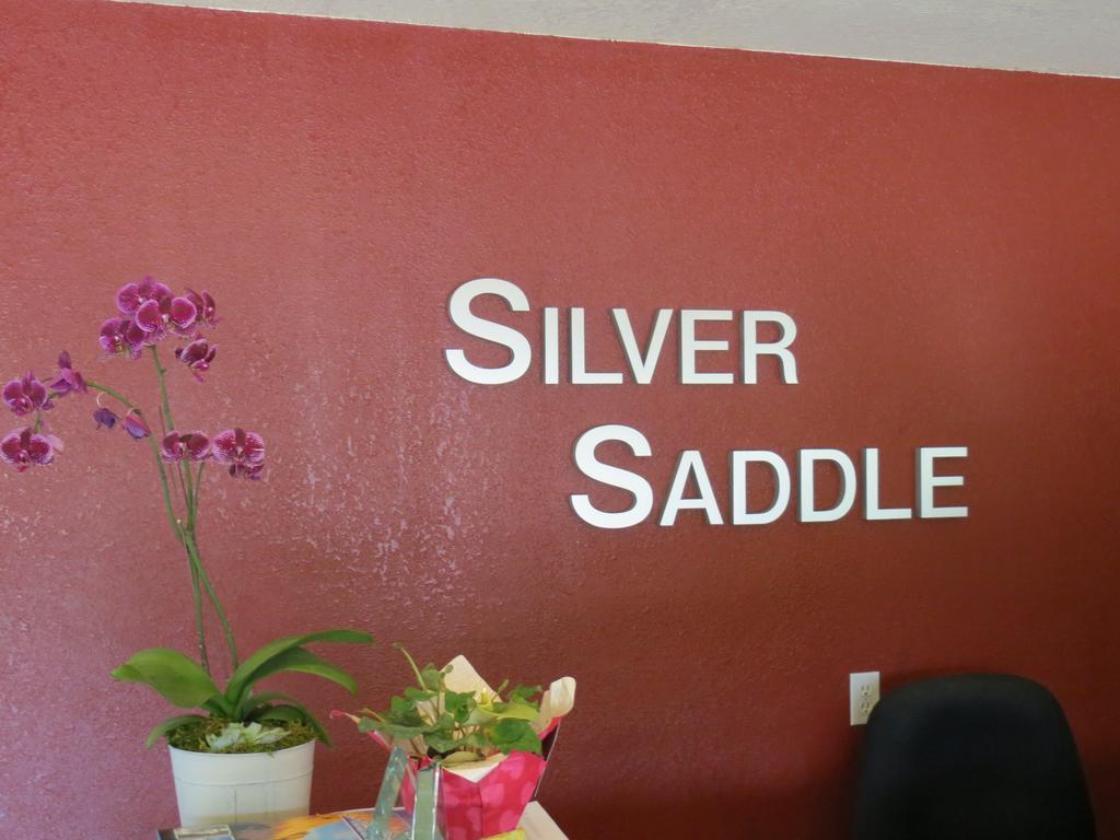Silver Saddle Motel Manitou Springs Eksteriør billede